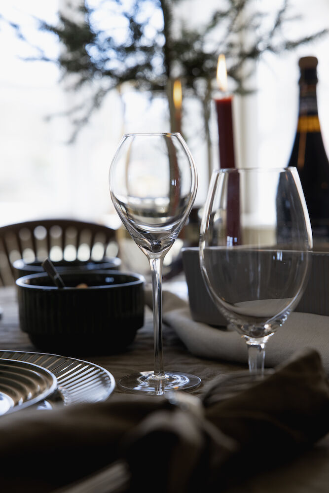 Saga drinking glass, 2-pcs