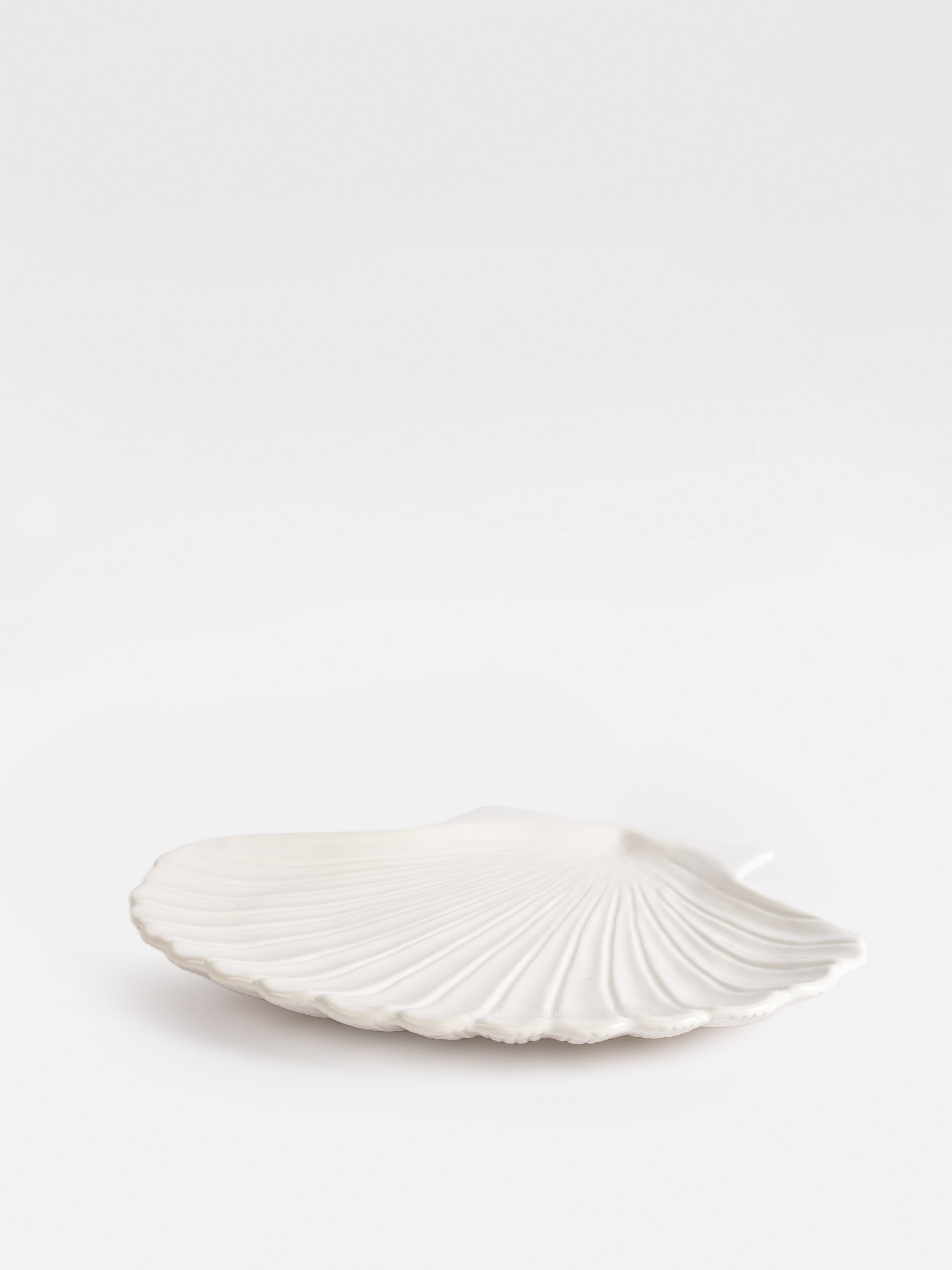 Plate Shell (XL)