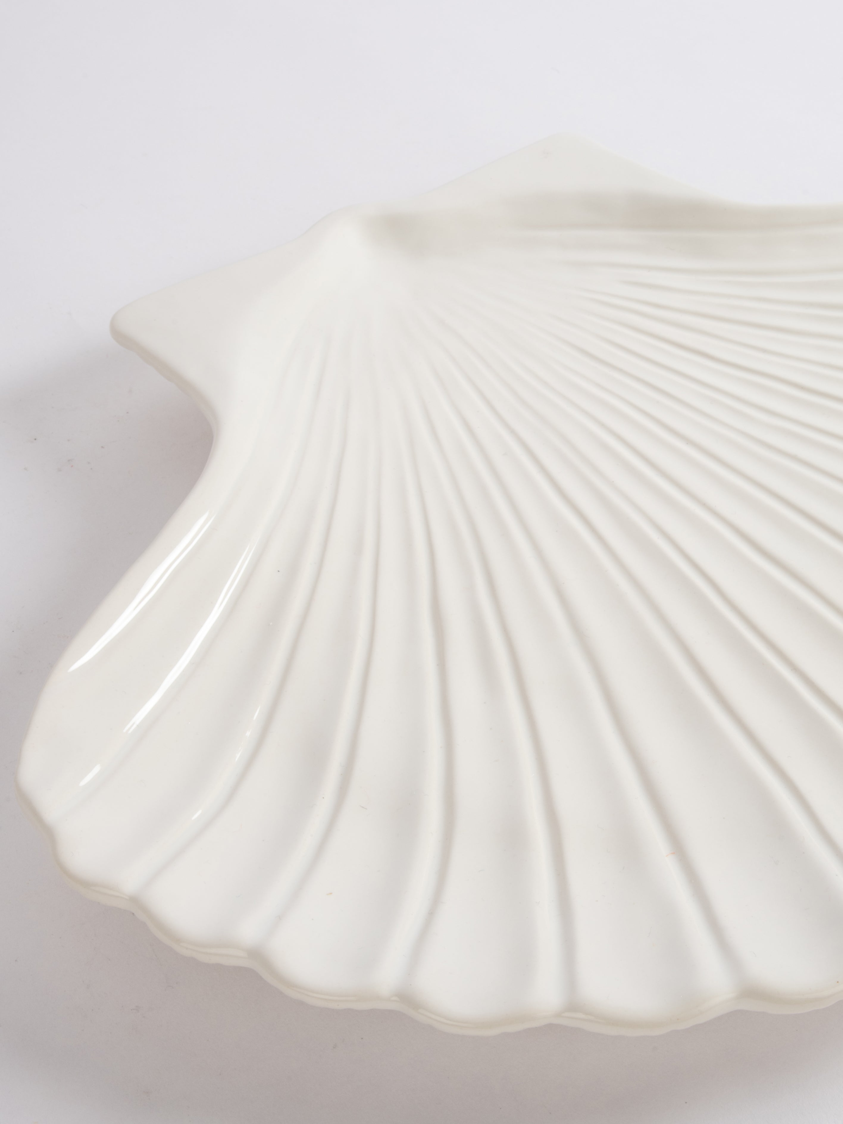 Plate Shell (XL)