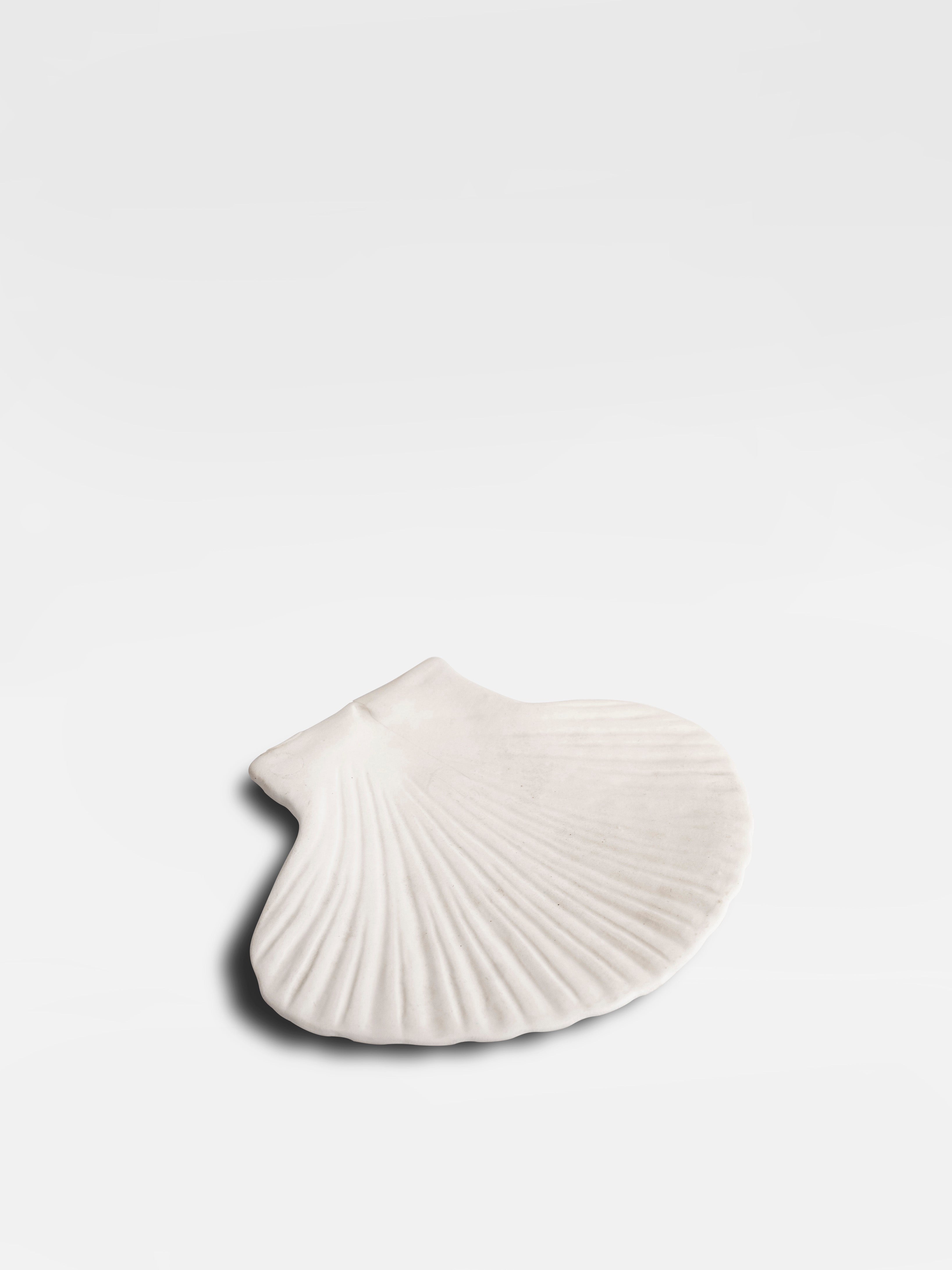 Plate Shell (M)