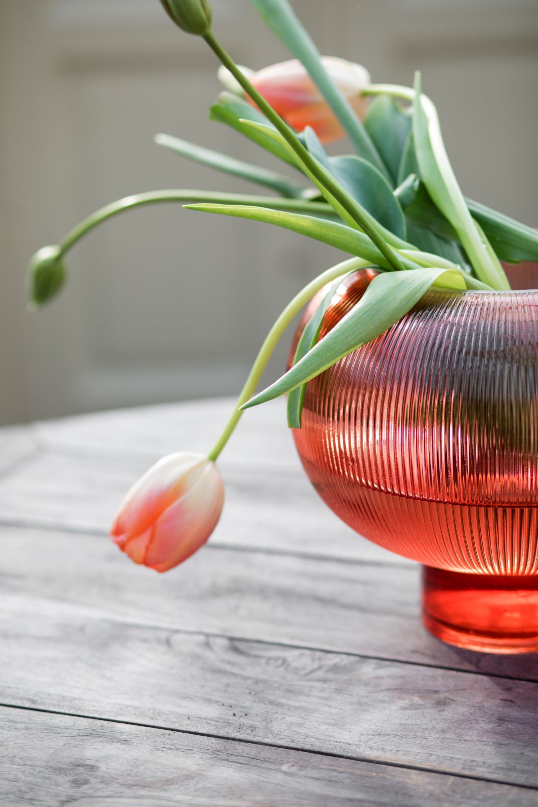 Vase/Bowl Sphere (Coral)