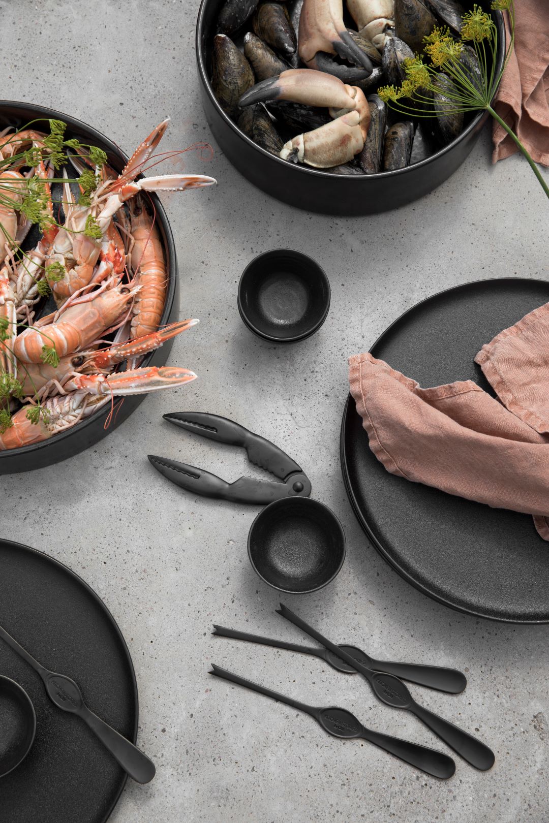 Shellfish set Mollusco