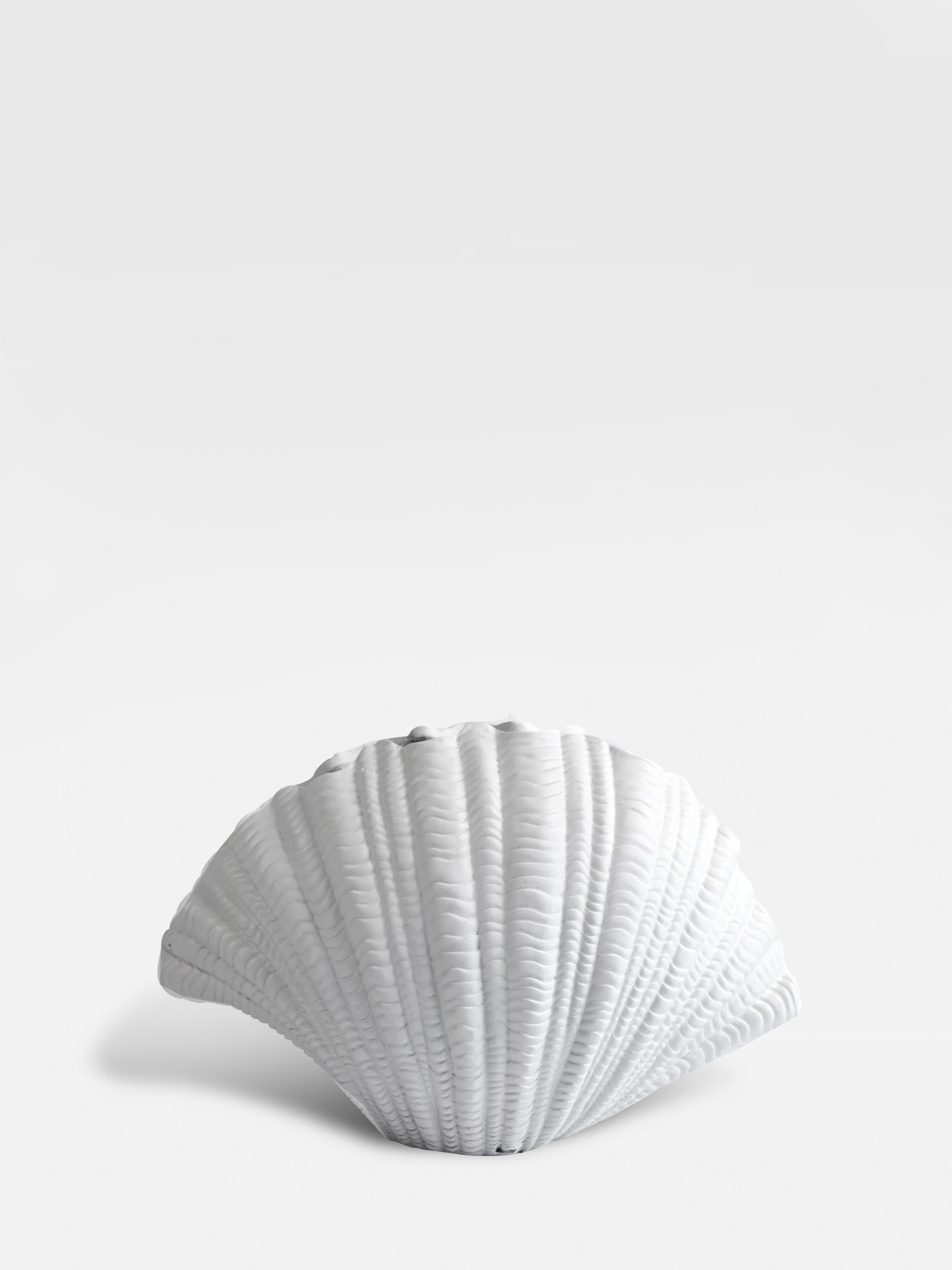 Vase Shell